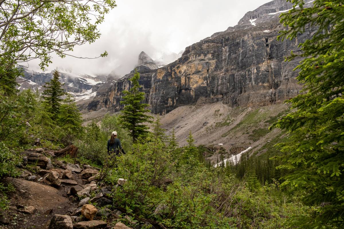 Nature Walk Hiking Is Good Exercise: 7 Proven Ways to Avoid Painful Weight Loss Mistakes